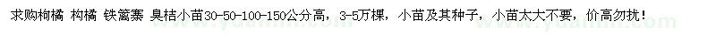 求购枸橘、构橘、铁篱寨、臭桔小苗及其种子