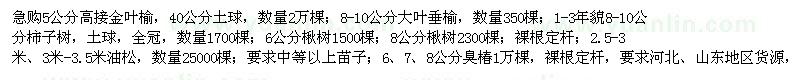 求购高接金叶榆、大叶垂榆、柿子树等苗木