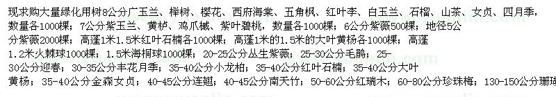 求购广玉兰、榉树、柿树、樱花、西府海棠、五角枫等苗木