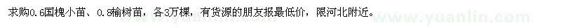 求购0.6国槐小苗,0.8榆树苗