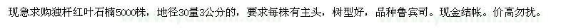 求购独杆红叶石楠5000株