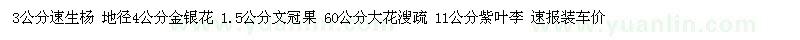 求购速生杨、金银花、文冠果、大花溲疏 、紫叶李