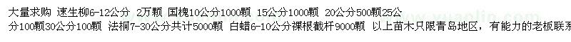 求购青岛地区求购，柳树 法桐 国槐 白蜡