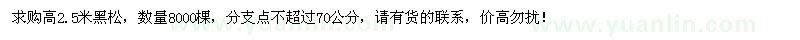 求购高2.5米黑松8000棵