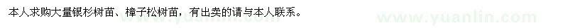 求购银杉树苗、樟子松树苗