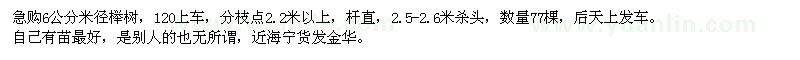 求购6公分米径榉树 