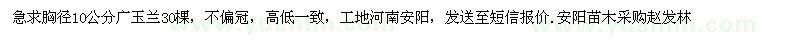 求购胸径10公分广玉兰30棵