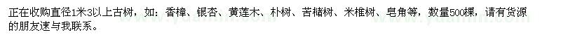 求购香樟、银杏、黄莲木、朴树