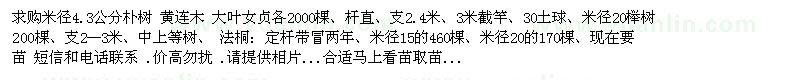 求购朴树 黄连木 大叶女贞各2000棵 榉树 法桐