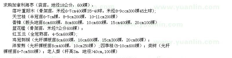 求购加拿利海枣、重阳木、天竺桂、香樟、蓝花楹、红玉兰、鸡冠刺桐、洋紫荆、四季桂、栾树、老人葵