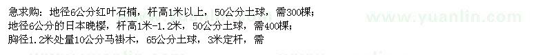 求购红叶石楠,日本晚樱,马褂木等苗木