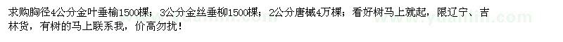 求购金叶垂榆、金丝垂柳、唐槭