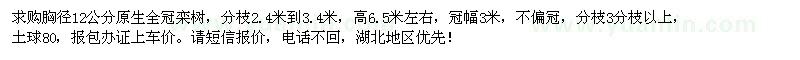 求购胸径12公分原生全冠栾树