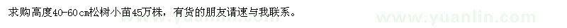 求购高度40-60公分松树小苗45万株