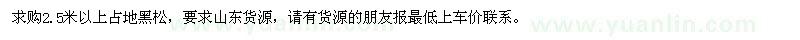 求购2.5米以上占地黑松