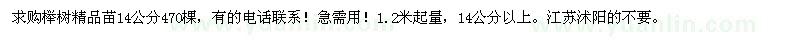 求购榉树精品苗14公分470棵