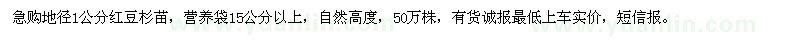 求购地径1公分红豆杉苗50万