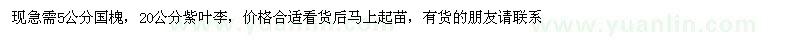 求购5cm国槐、20cm紫叶李