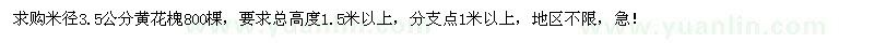求购米径3.5公分黄花槐800棵