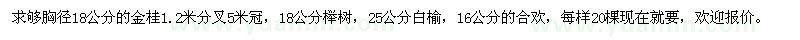 求购金桂、榉树、白榆、合欢