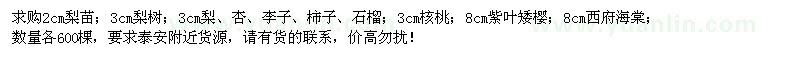 求购石榴、紫叶矮樱、西府海棠等苗木