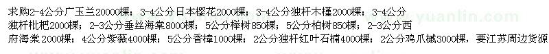 求购广玉兰、日本樱花、独杆木槿、独杆枇杷、垂丝海棠、榉树等