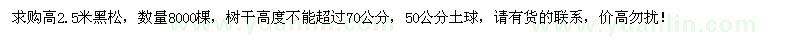 求购高2.5米黑松8000棵