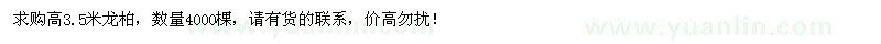 求购高3.5米龙柏4000棵