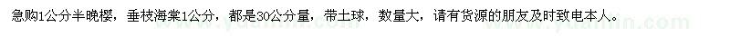 求购1公分半晚樱、垂枝海棠