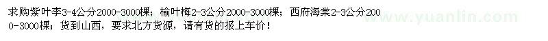 求购紫叶李、榆叶梅、西府海棠 