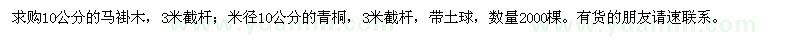 求购10公分的马褂木,米径10公分的青桐