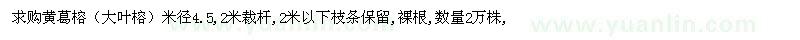 求购黄葛榕（大叶榕）米径4.5,2米裁杆 