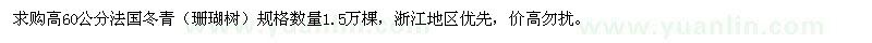 求购高60公分法国冬青