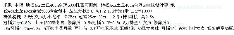 求购木槿 西府海棠 紫叶李 金银木 紫穗槐 小龙柏 塔桧 冬青 金叶 