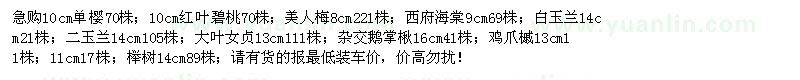 求购单樱、红叶碧桃、美人梅、西府海棠等苗木