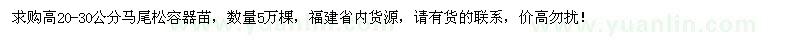 求购高20-30公分马尾松容器苗5万棵