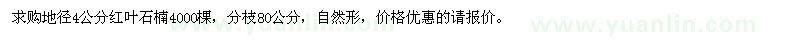 求购地径4公分红叶石楠4000棵