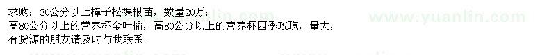 求购樟子松裸根苗、营养杯金叶榆