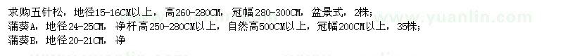 求购五针松、蒲葵