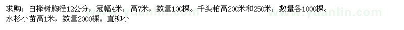 求购白榉、千头柏、水杉、直柳