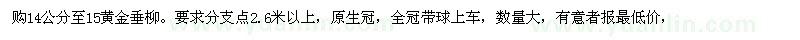 求购14公分至15黄金垂柳