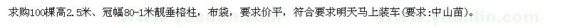 求购高2.5米靓垂榕柱100棵