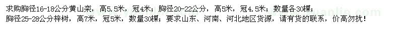 求购黄山栾、梓树