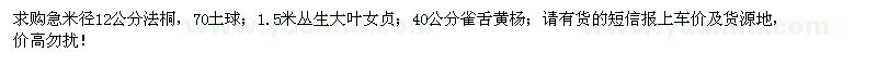 求购法桐、丛生大叶女贞、雀舌黄杨