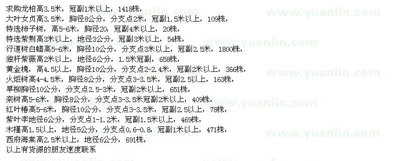 求购龙柏、大叶女贞、柿子树、紫荆、白蜡、紫薇、黄金槐、火炬树、旱柳 