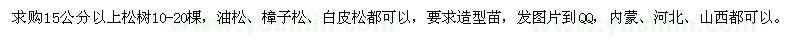 求购15公分以上松树