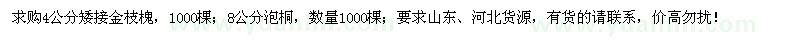 求购4公分矮接金枝槐、8公分泡桐