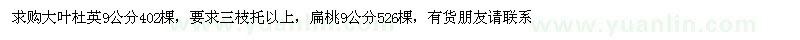 求购大叶杜英、扁桃 