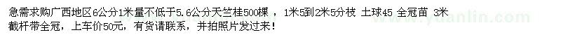 求购广西地区6公分1米量不低于5.6公分天竺桂500棵