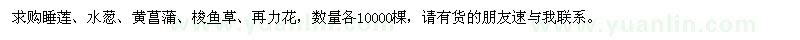 求购睡莲、水葱、黄菖蒲、梭鱼草、再力花